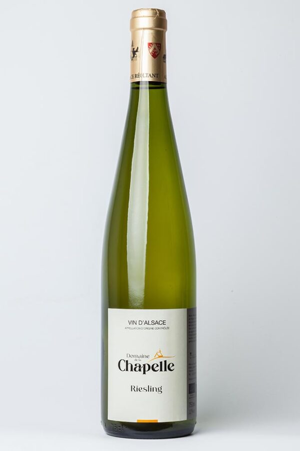 Riesling 2023 – Image 1